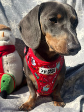 Load image into Gallery viewer, Limited edition Christmas harness - FROG DOG CO.
