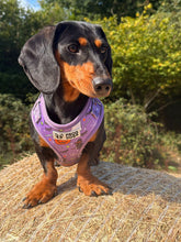 Load image into Gallery viewer, Limited edition Halloween harness - FROG DOG CO.