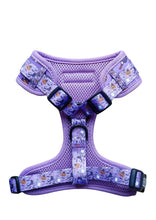 Load image into Gallery viewer, Limited edition Halloween harness