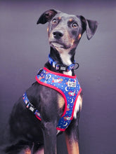 Load image into Gallery viewer, Comfy-Wear Harness - Zoomies - FROG DOG CO.