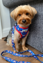 Load image into Gallery viewer, Comfy-Wear Harness - Zoomies - FROG DOG CO.