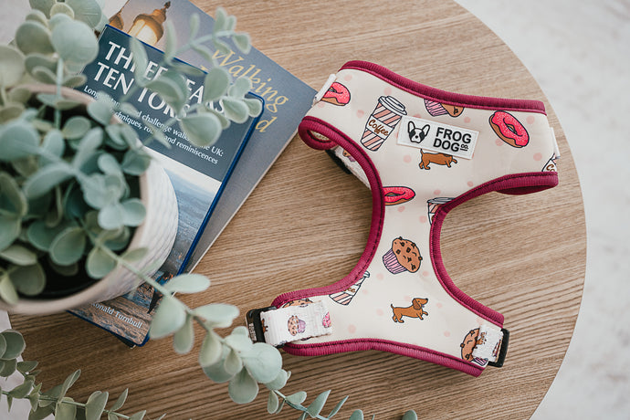 Comfy-Wear Harness - Puppaccino - FROG DOG CO.