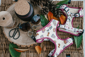 Comfy-Wear Harness - Puppaccino - FROG DOG CO.