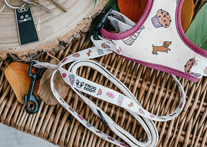 Comfy-Wear Lead - Puppaccino - FROG DOG CO.