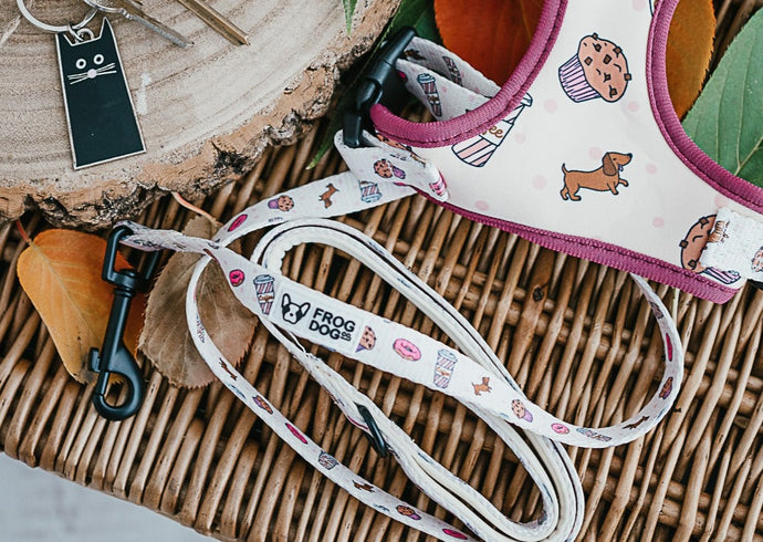 Comfy-Wear Lead - Puppaccino - FROG DOG CO.