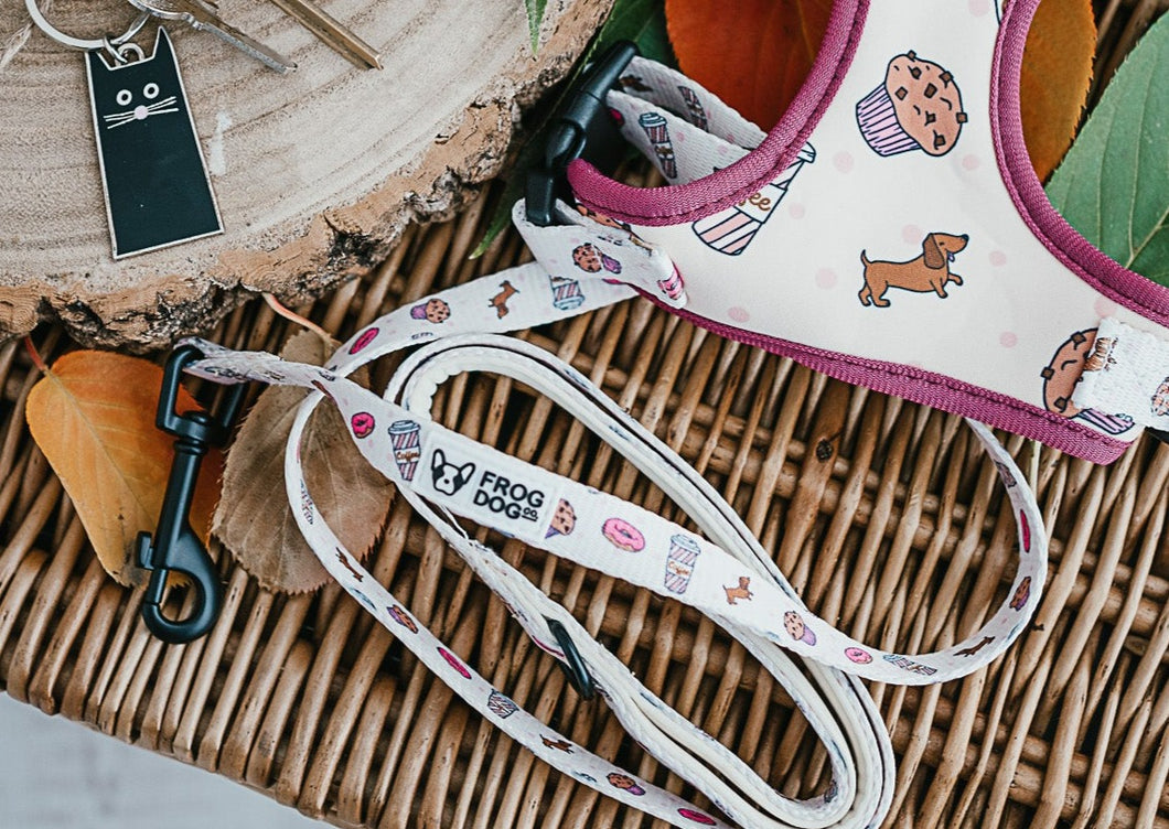 Comfy-Wear Lead - Puppaccino - FROG DOG CO.