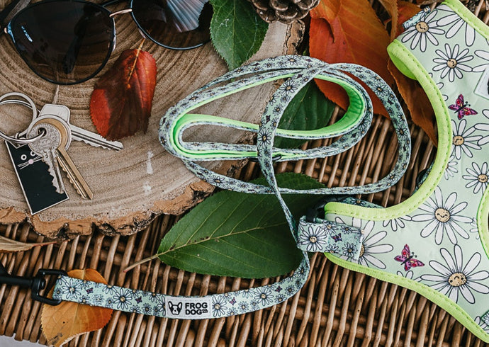 Comfy-Wear Lead - Daisy Days - FROG DOG CO.