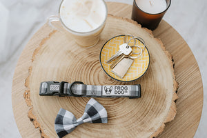 Bow Tie - Check Me Out - FROG DOG CO.