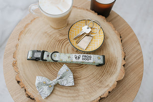 Bow Tie - Daisy Days - FROG DOG CO.