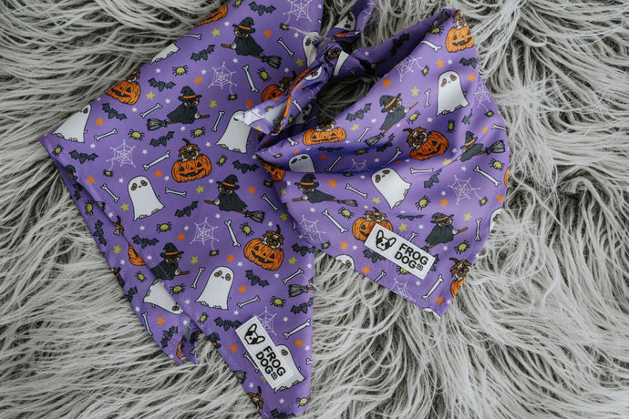 Halloween Dog Bandana - FROG DOG CO.