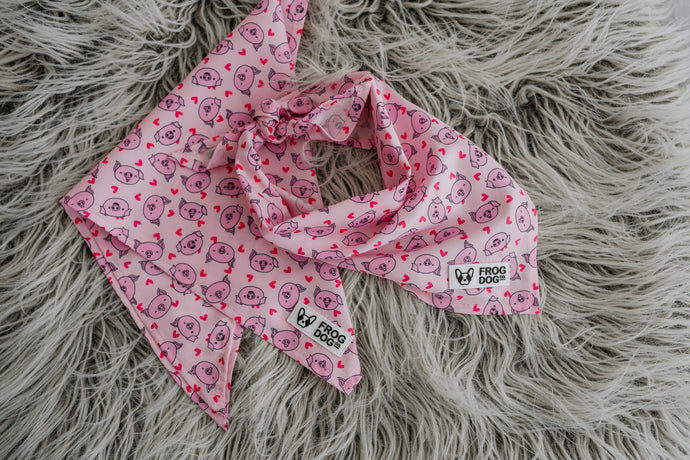 Bandana - Piggy Passion - FROG DOG CO.