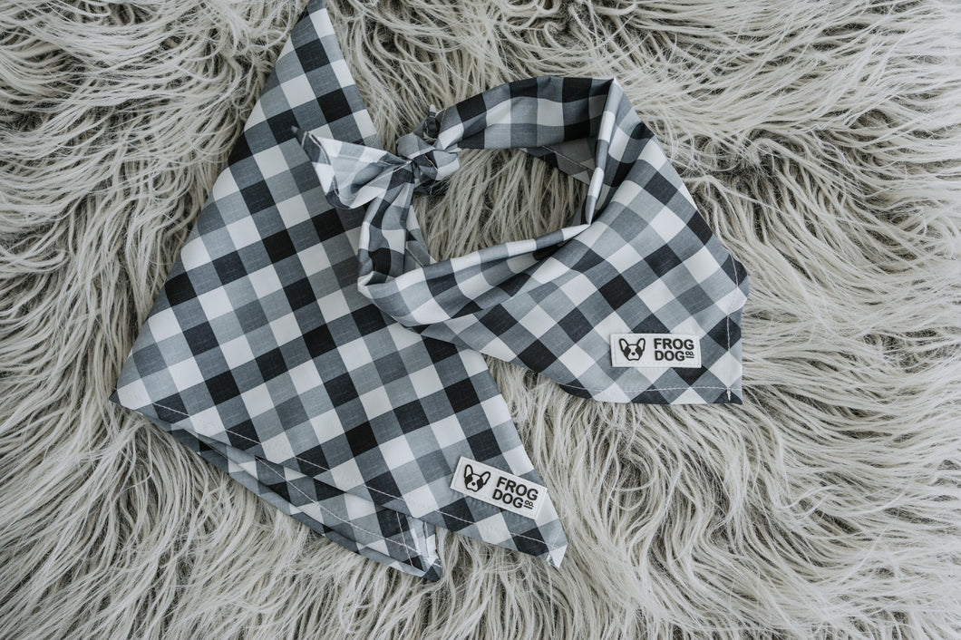 Bandana - Check Me Out - FROG DOG CO.