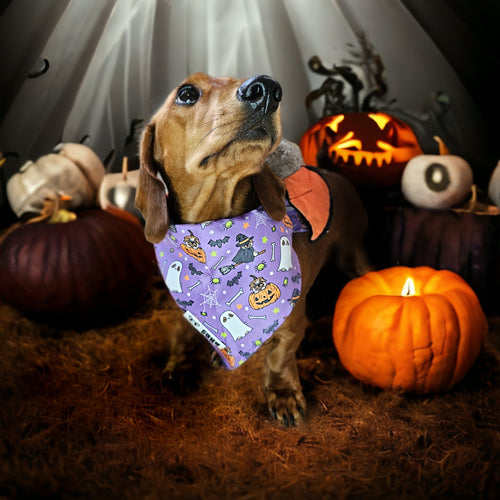 Halloween Dog Bandana - FROG DOG CO.