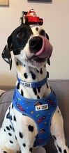 Load image into Gallery viewer, Adjustable Dog Collar Pole Paw-sition - Blue- Race Cars - FROG DOG CO.