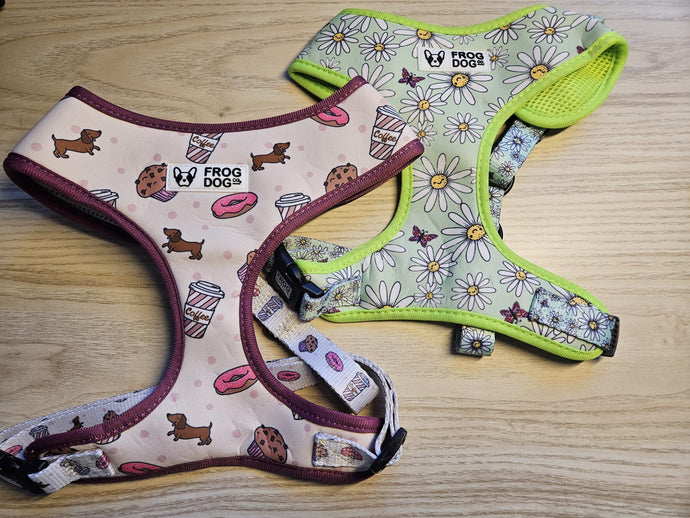 Limited stock - SECONDS - Adjustable Dog Harness - Various prints - FROG DOG CO.