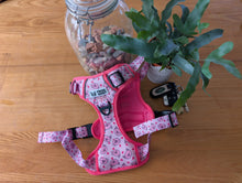 Load image into Gallery viewer, ThreePoint Trail Harness Piggie Passion
