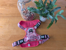 Load image into Gallery viewer, ThreePoint Trail Harness Piggie Passion