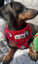 Load image into Gallery viewer, Limited edition Christmas harness