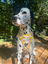 Load image into Gallery viewer, ThreePoint Trail Harness - FROG DOG CO.