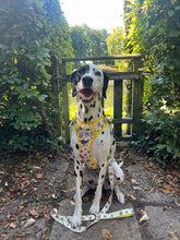 Load image into Gallery viewer, ThreePoint Trail Harness - FROG DOG CO.