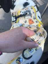 Load image into Gallery viewer, ThreePoint Trail Harness - FROG DOG CO.