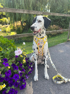 ThreePoint Trail Harness - FROG DOG CO.