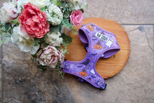 Load image into Gallery viewer, Limited edition Halloween harness