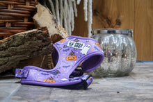 Load image into Gallery viewer, Limited edition Halloween harness