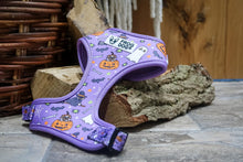 Load image into Gallery viewer, Limited edition Halloween harness