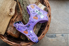 Load image into Gallery viewer, Limited edition Halloween harness