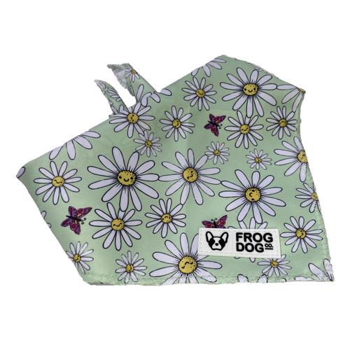 Bandana - Daisy Days - FROG DOG CO.