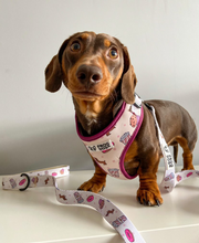 Load image into Gallery viewer, Comfy-Wear Harness - Puppuccino - FROG DOG CO.