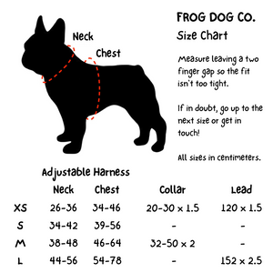 Comfy-Wear Lead - Check Me Out - FROG DOG CO.