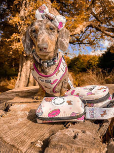 Comfy-Wear Harness - Puppuccino - FROG DOG CO.