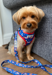 Comfy-Wear Harness - Zoomies - FROG DOG CO.